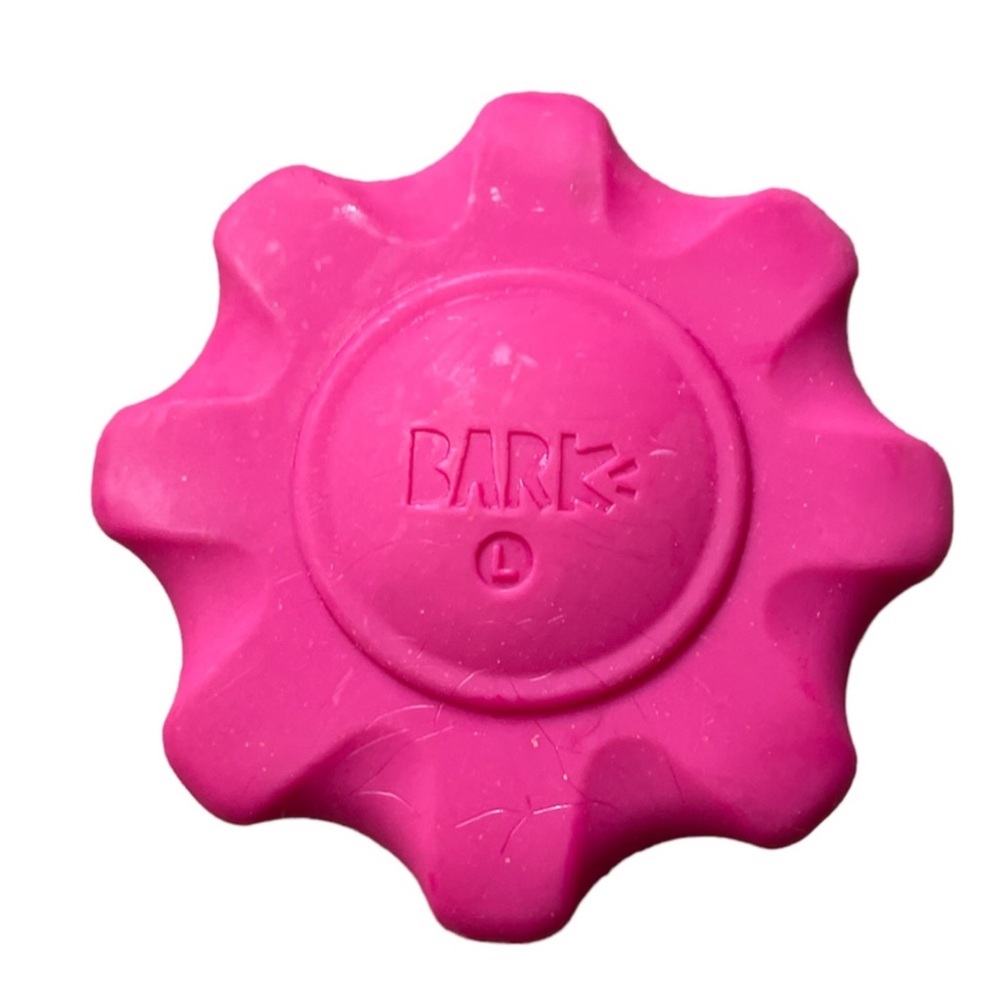 Barkbox Large Gnawmore “Indestructible” Dog Super Chew Hard Heavy Toy